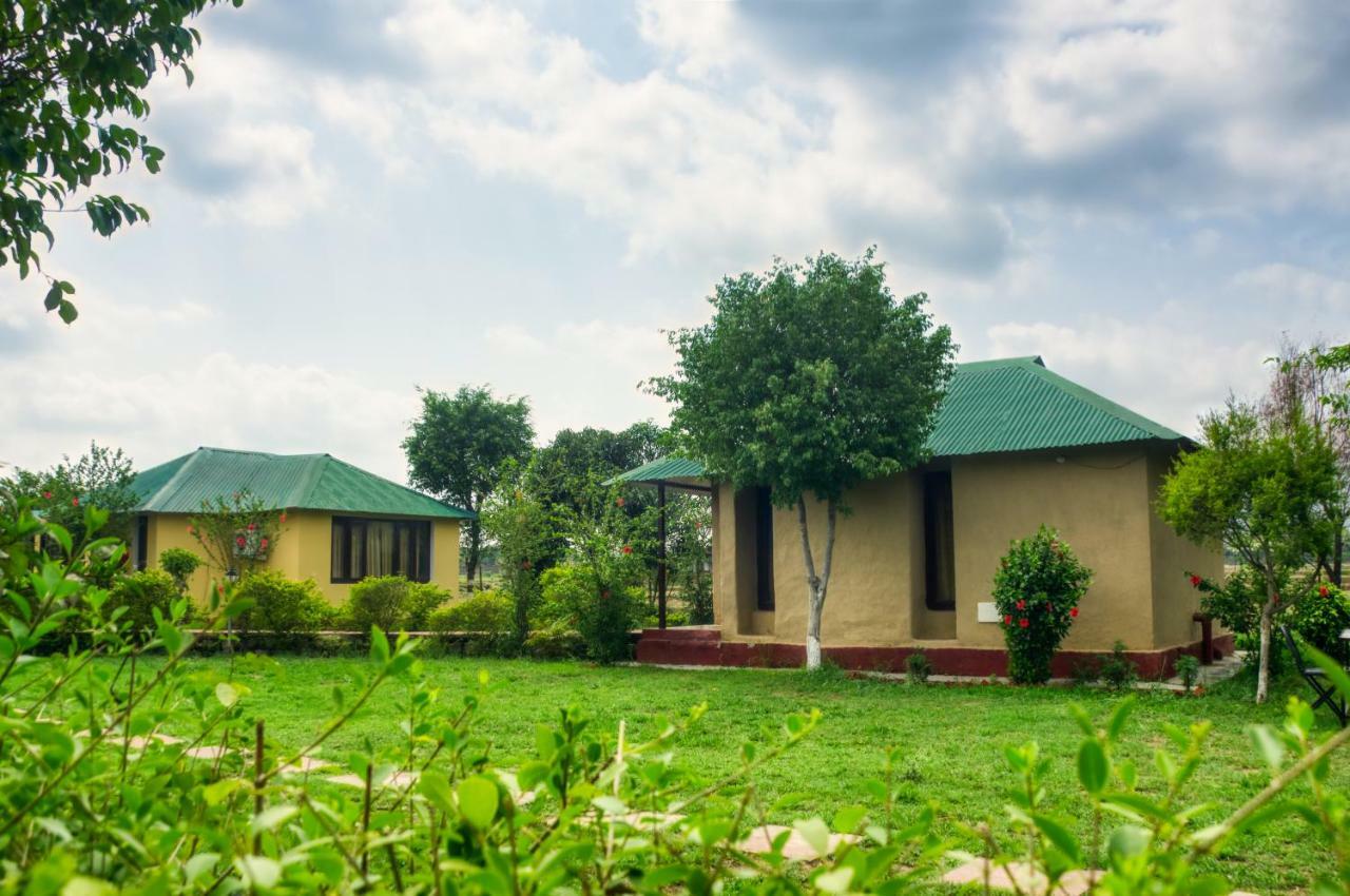 Tusk and Roar Corbett Resort Dhela Exteriör bild